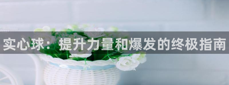 极悦官方网站app下载：实心球：提升力量和爆发的终极指南