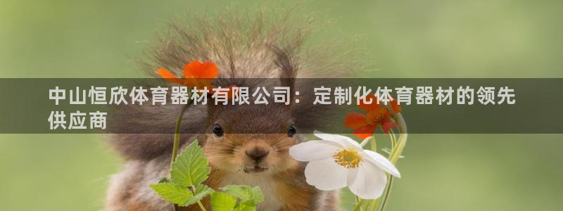 极悦平台德711.112的更新内容：中山恒欣体育器材