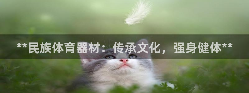 极悦平台注册用户名格式：**民族体育器材：传承文化，