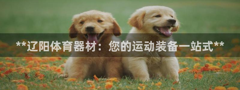 极悦平台注册官网下载：**辽阳体育器材：您的运动装备一站式*