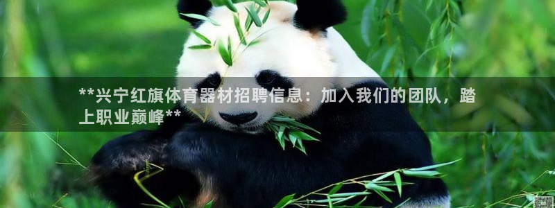 极悦平台app安全吗：**兴宁红旗体育器材招聘信息：