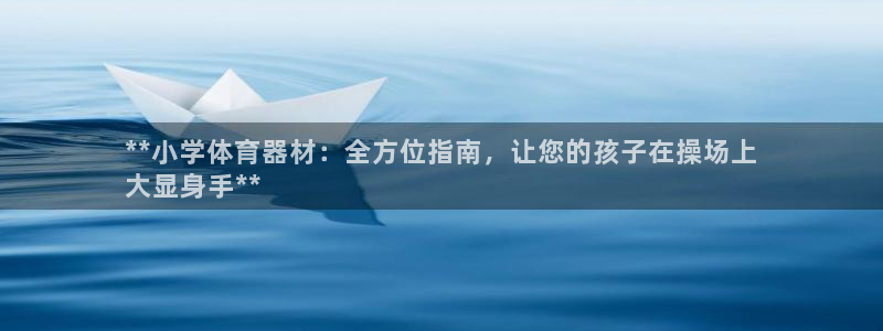 极悦平台官网登录不了：**小学体育器材：全方位指南，