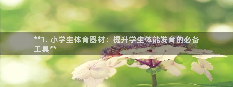 极悦娱乐会被骗吗知乎小说：**1. 小学生体育器材：