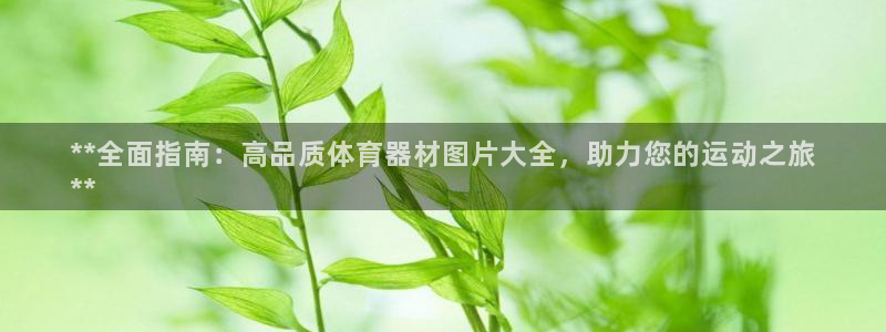 极悦平台代理怎么做：**全面指南：高品质体育器材图片