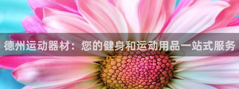 极悦平台注册官网：德州运动器材：您的健身和运动用品一