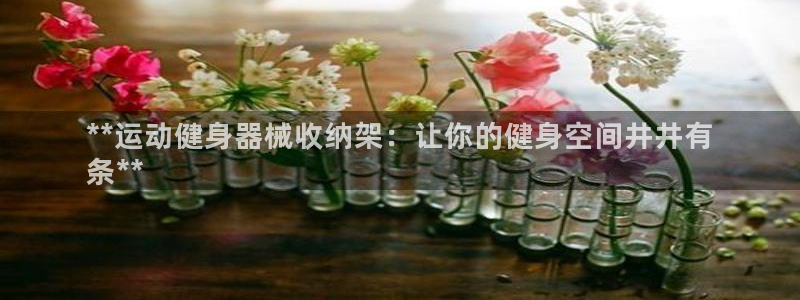 极悦牙膏怎么样好用吗：**运动健身器械收纳架：让你的