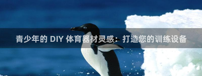 极悦娱乐会被骗吗知乎小说：青少年的 DIY 体育器材