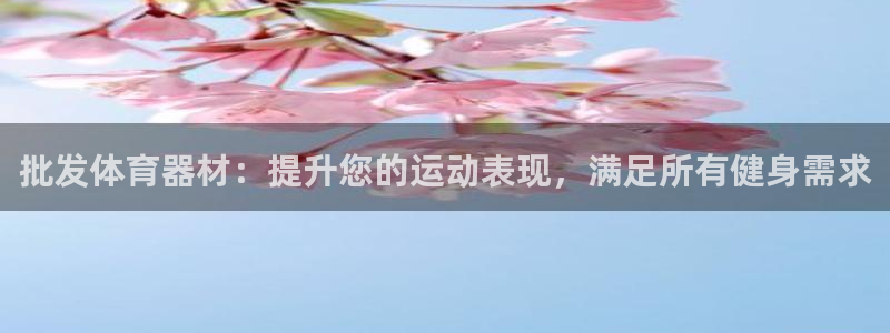极悦平台官网下载中心网址：批发体育器材：提升您的运动