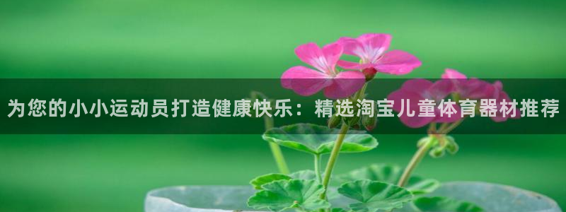 极悦平台官方网站下载安卓：为您的小小运动员打造健康快