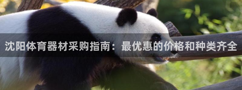 极悦平台注册用户名验证失败：沈阳体育器材采购指南：最