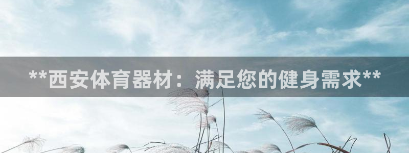 极悦官方网站app下载软件：**西安体育器材：满足您