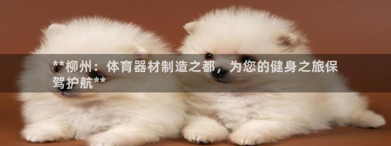 极悦官方网站入口网址：**柳州：体育器材制造之都，为