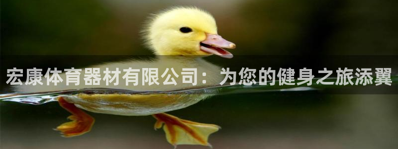 极悦娱乐的背景和历史背景是什么：宏康体育器材有限公司