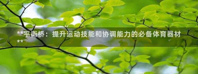 极悦娱乐代理人是谁啊：**平衡桥：提升运动技能和协调