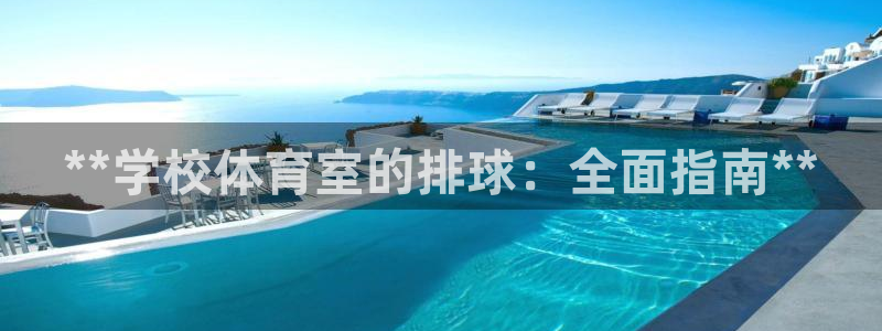极悦是什么牌子空调：**学校体育室的排球：全面指南**