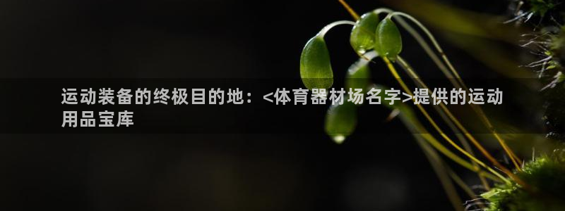 极悦平台用户评价：运动装备的终极目的地：<体育器材场