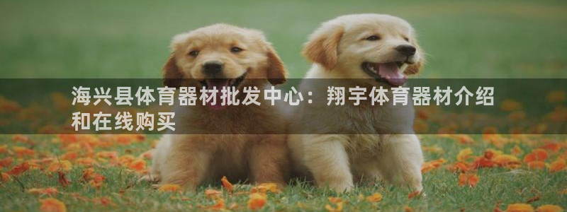 加盟极悦教育怎么样：海兴县体育器材批发中心：翔宇体育