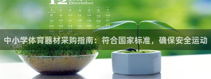 极悦平台注册用户名验证：中小学体育器材采购指南：符合