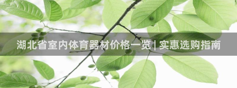 极悦平台网址皮皮虾：湖北省室内体育器材价格一览 | 