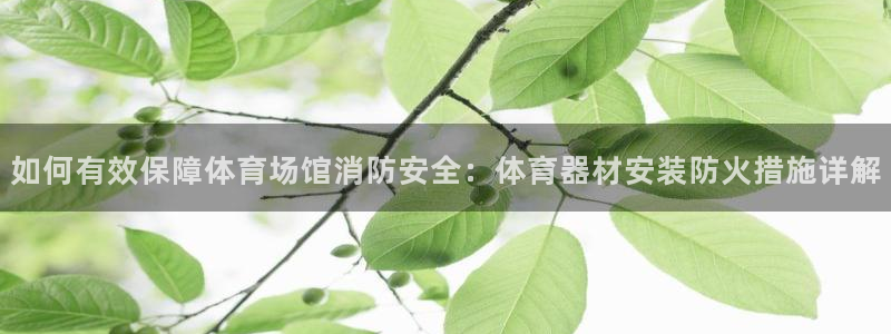 极悦娱乐会被骗吗：如何有效保障体育场馆消防安全：体育