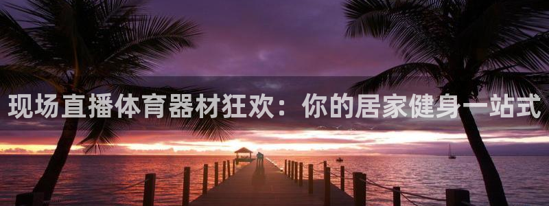 极悦娱乐官网客服联系方式查询：现场直播体育器材狂欢：你的居家