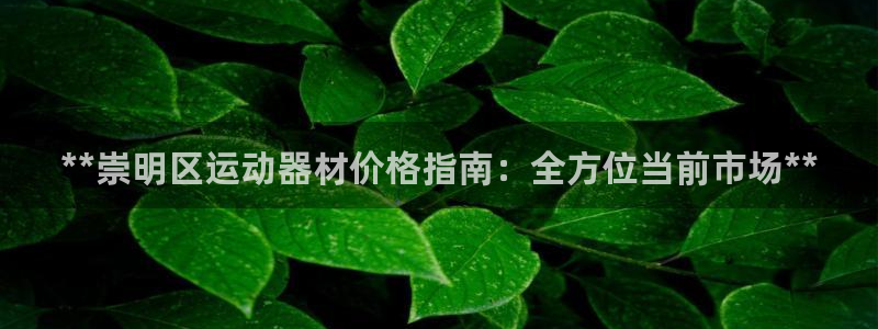 极悦娱乐的内部员工福利：**崇明区运动器材价格指南：