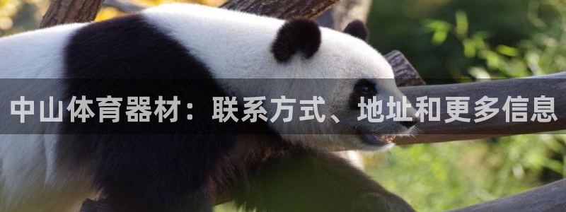 极悦平台用户反馈和反馈：中山体育器材：联系方式、地址