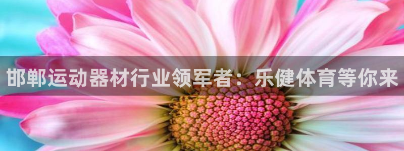 极悦平台客服的联系方式是多少：邯郸运动器材行业领军者
