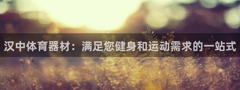 极悦平台客服团队怎么样：汉中体育器材：满足您健身和运