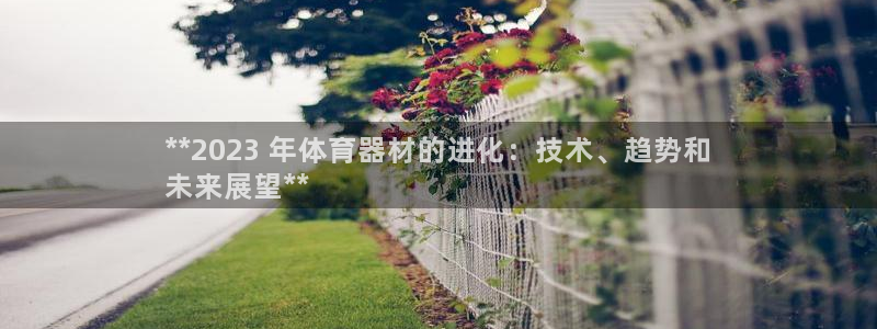 极悦平台官网登录入口网址查询：**2023 年体育器