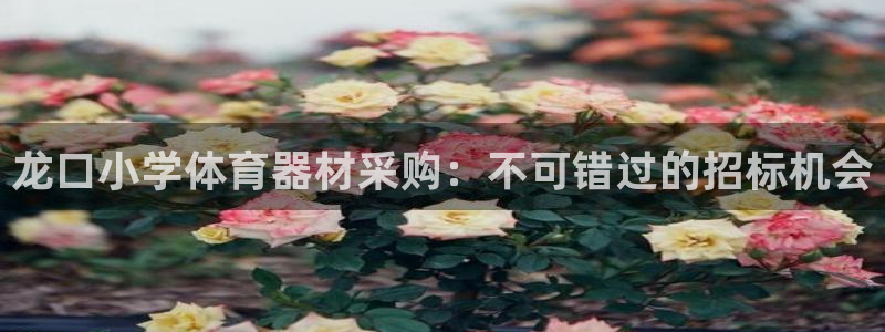 极悦平台是正规平台吗安全吗知乎