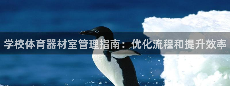 极悦娱乐的创始人背景故事介绍：学校体育器材室管理指南：优化流