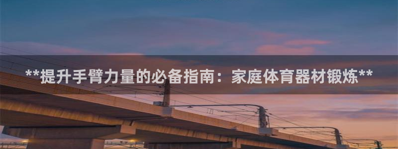 极悦平台是干什么的啊：**提升手臂力量的必备指南：家庭体育器