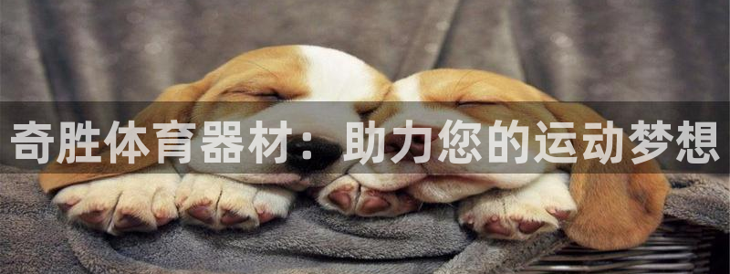 极悦官网注册最新版本更新内容