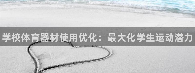 极悦平台代理怎么做的：学校体育器材使用优化：最大化学