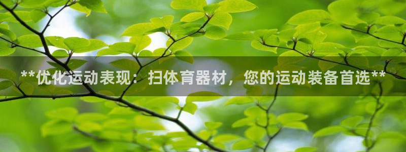 极悦平台是干嘛的：**优化运动表现：扫体育器材，您的运动装备