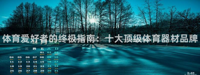 极悦平台官方网站入口：体育爱好者的终极指南：十大顶级