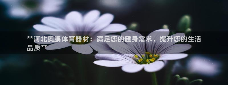 极悦平台登录不进去怎么回事呀：**河北奥鹏体育器材：