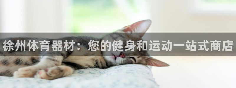 极悦平台的注册流程及注意事项有哪些：徐州体育器材：您的健身和