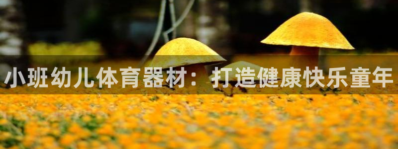 极悦平台注册用户名格式不正确：小班幼儿体育器材：打造健康快乐