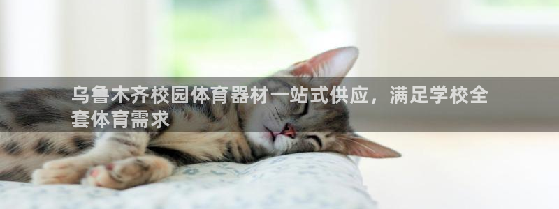 极悦平台官网登录网址是什么：乌鲁木齐校园体育器材一站式供应，