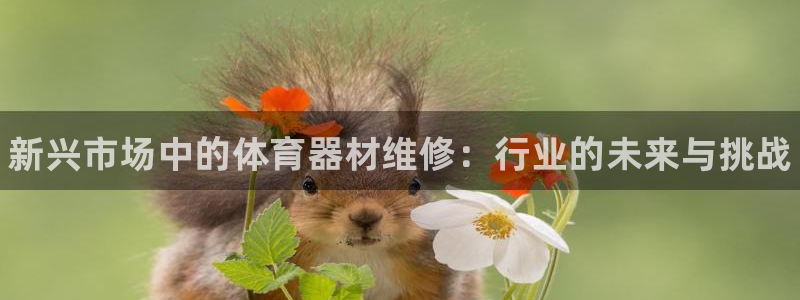 极悦平台注册申请流程详解图：新兴市场中的体育器材维修