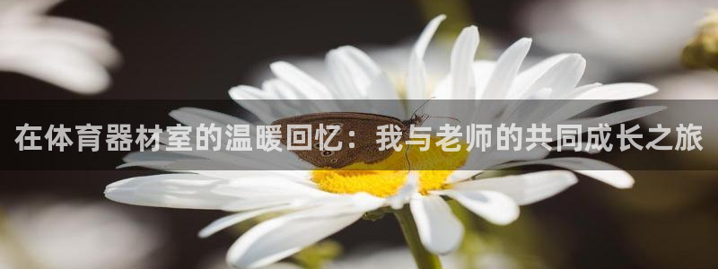 极悦平台官网登录：在体育器材室的温暖回忆：我与老师的