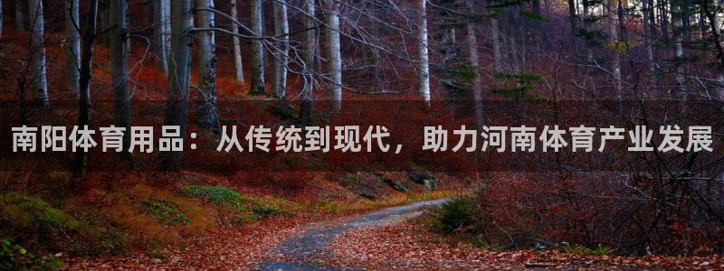 极悦平台官网登录网址：南阳体育用品：从传统到现代，助