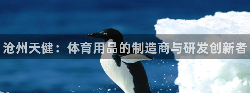 极悦娱乐代理怎么样可靠吗：沧州天健：体育用品的制造商与研发创