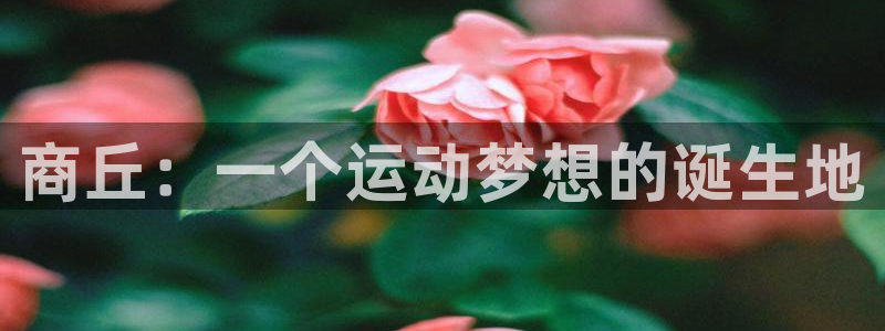 极悦平台注册用户名验证：商丘：一个运动梦想的诞生地