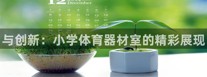 极悦娱乐挂机赚钱是真的吗知乎：与创新：小学体育器材室的精彩展